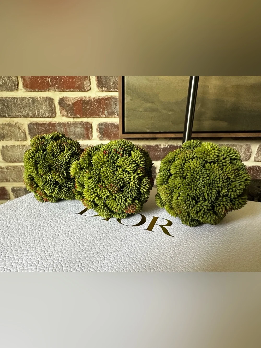 Decorative Sedum Balls by Creative Displays - 3 balls
